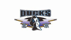 媒体人：北京不再受限于曾凡博是否回归 将根据战术需要选第3外援